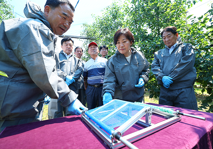 송미령 농림축산식품부 장관이 충남 예산군 사과 농가를 방문, 여름철 폭염·장마 등에 대비한 재해 예방시설을 점검하고 있다. 2024.6.3 (ⓒ뉴스1, 무단 전재-재배포 금지)
