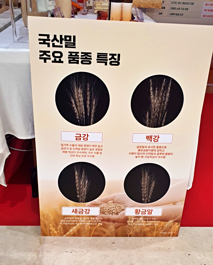 금강·백강·새금강 등 우리 밀 품종이 한눈에.