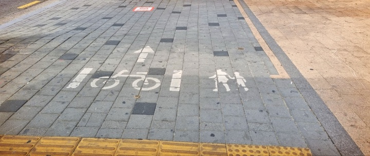 11월 11일 보행자의 날.