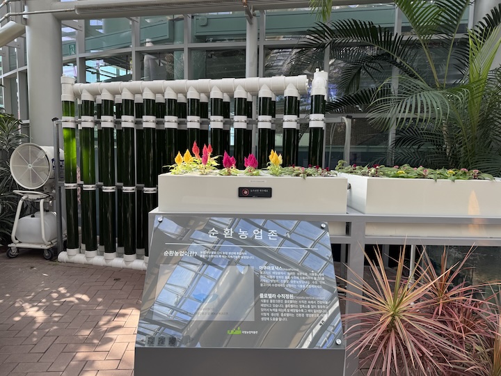 식물원 내부 순환농업존의 모습. '아쿠아포닉스' 기술과 '클로렐라 수직정원'을 직접 볼 수 있다.