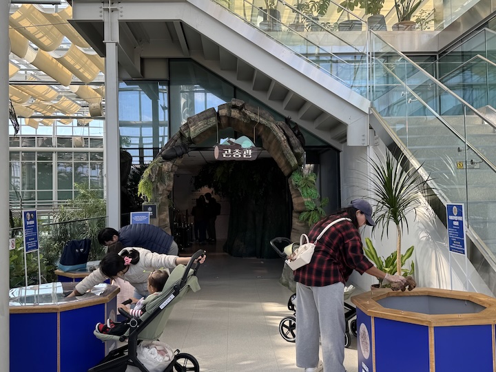 곤충관 입구의 체험존 모습. 아이들이 직접 곤충을 만져보고 관찰하고 있다.