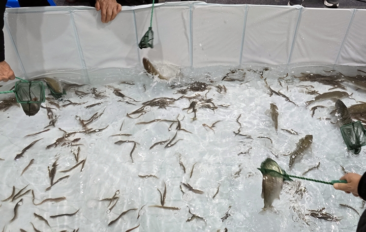 미꾸라지 등을 잡아 관찰하는 체험 프로그램.