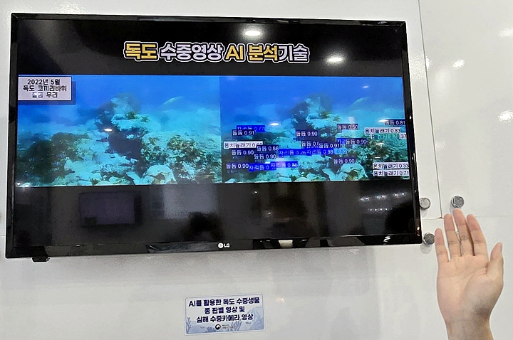 독도 수중 영상을 AI 기술로 분석하고 있다.