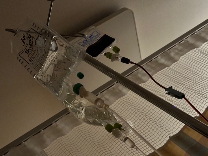 조기 진통으로 50여 일 동안 꽂고 있던 자궁수축억제 약물. 빈혈 수치도 좋지 않아 철분제도 투여했다.