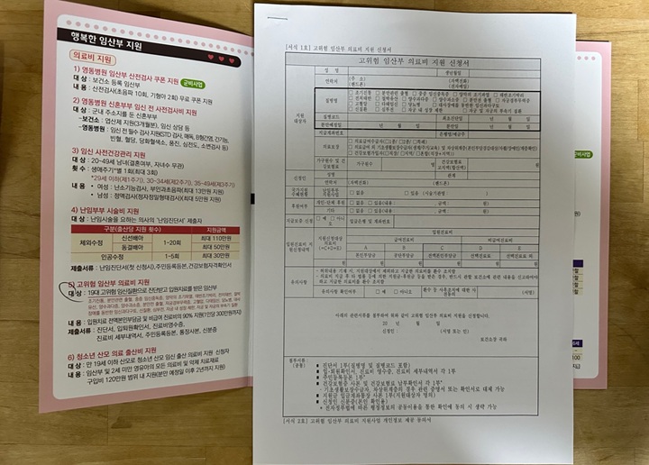 보건소에서 받아 온 고위험 임신부 의료비 지원 신청서와 안내 책자.