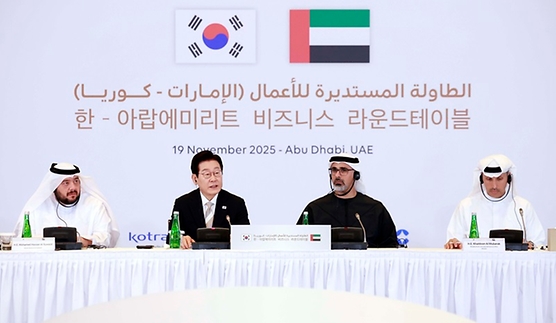 이 대통령 "한-UAE, AI 산업 협력 통해 미래성장 동력 함께 창출"