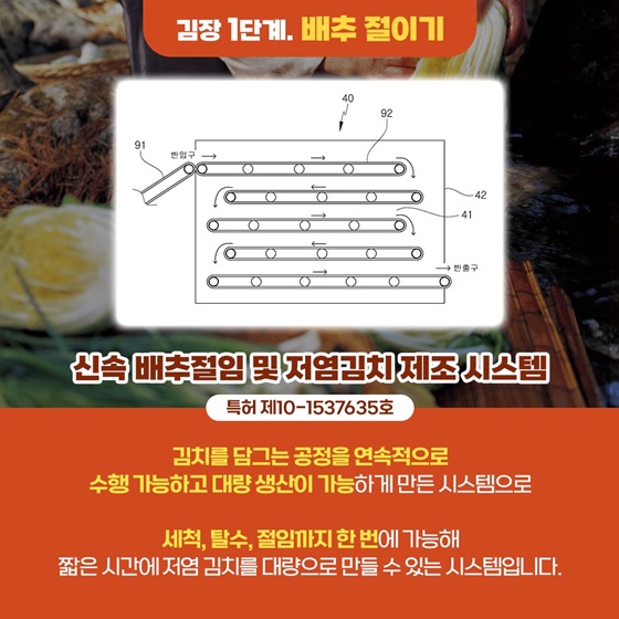 몸에도 좋고 맛도 좋은 김치와 관련된 기술의 발전