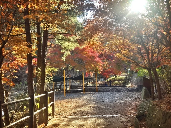 청계산 단풍길에서 만난 가을 풍경.