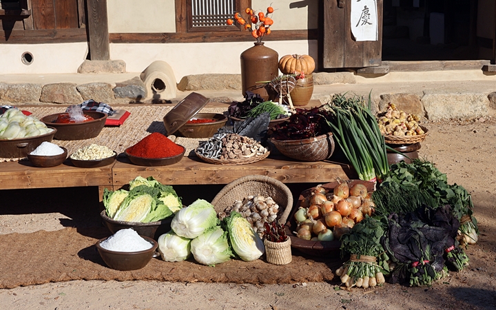 김치의 재료들.