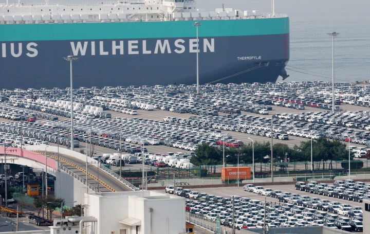 경기 평택시 포승읍 평택항에 수출용 차량이 세워져 있는 모습. 2025.10.30 (ⓒ뉴스1, 무단 전재-재배포 금지)