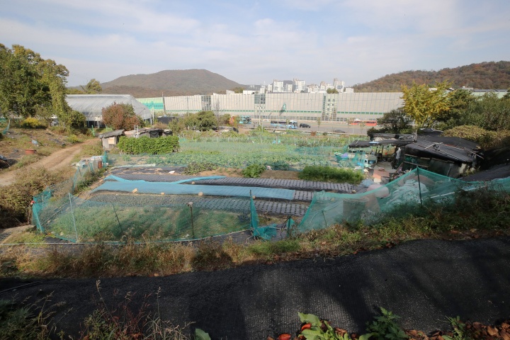 서울 서초구 원지동 모습. (ⓒ뉴스1, 무단 전재-재배포 금지)