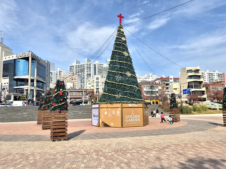 대형 크리스마스트리로 연말 분위기를 내는 태화강 국가정원.