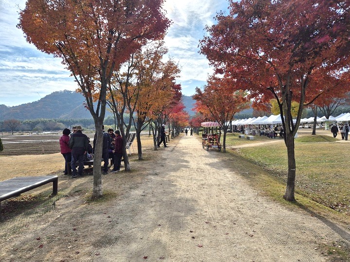 작은 턱조차 없고 평탄하게 조성된 길.