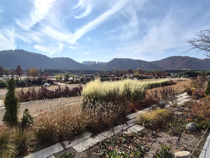 하늘, 바람, 자연, 풍경 모든 것이 아름다운 태화강 국가정원.