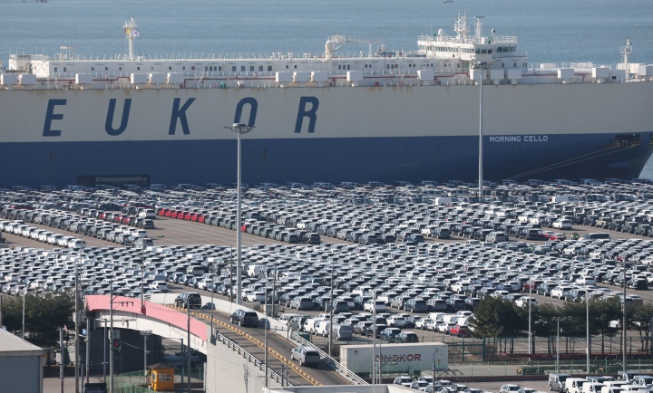 4일 경기 평택시 포승읍 평택항에 수출용 차량이 세워져 있다. 2025.12.4 (ⓒ뉴스1, 무단 전재-재배포 금지)