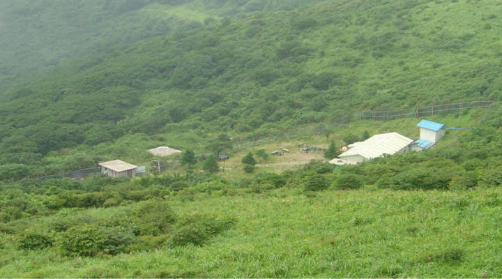 노고단 군부대 철거 전 모습, 철조망 너머 그날의 야생 늑대 현장. (출처=지리산국립공원공단 제공)