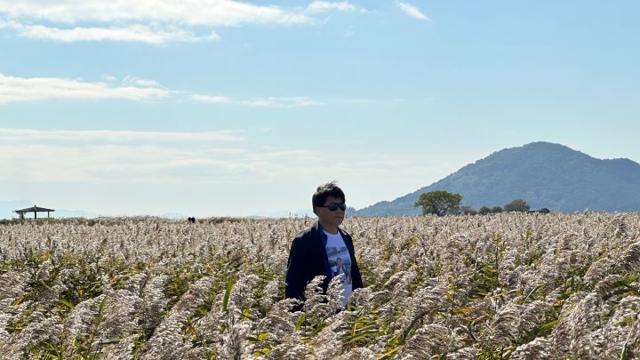 은빛으로 흔들리는 갈대밭 사이로 이어지는 산책로.