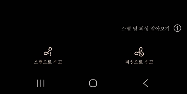 스팸으로 신고, 피싱으로 신고 버튼이 모두 나타난다.