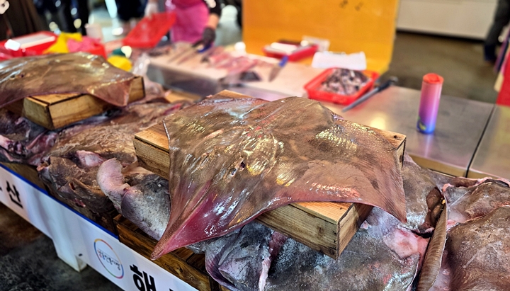 커다란 홍어를 마음껏 볼 수 있는 양동시장.