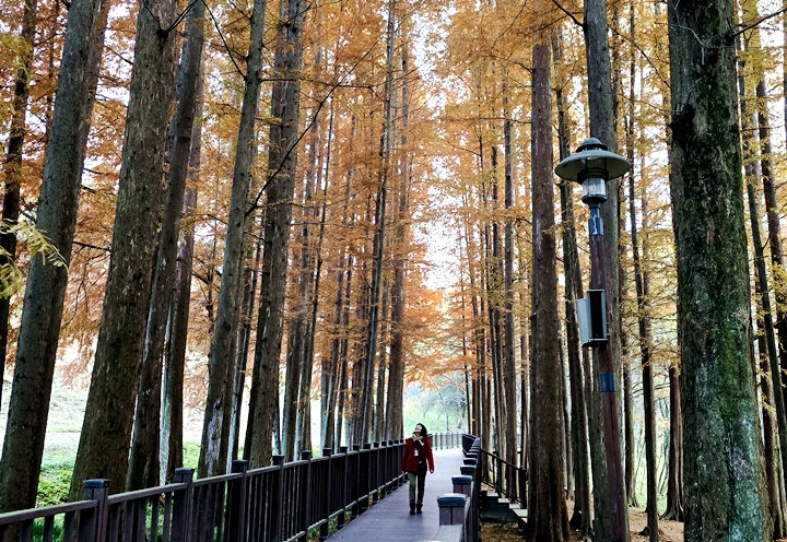 자연 속 힐링은 물론 사진 맛집이다.