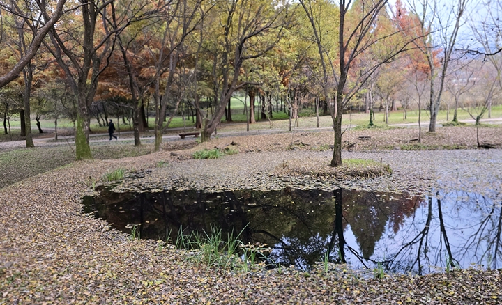 국내에 이렇게 조용하고 아름다운 자연이 있었다는 사실도 새삼 행복하다.