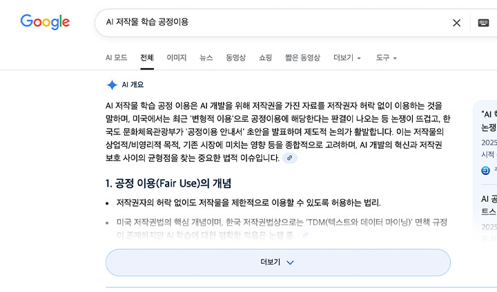 우리가 정책을 찾기 위해, 이슈를 보기 위해 키워드를 검색하면 AI 브리핑이나 AI 요약이 검색창 최상단에 뜨곤 한다. 이렇게 무분별하게 노출되는 정보가 저작권 침해 사례 중 하나가 될 수 있다니, 놀랍기만 했다.