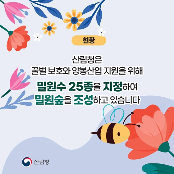 2025년 산림분야 규제합리화 추진사례