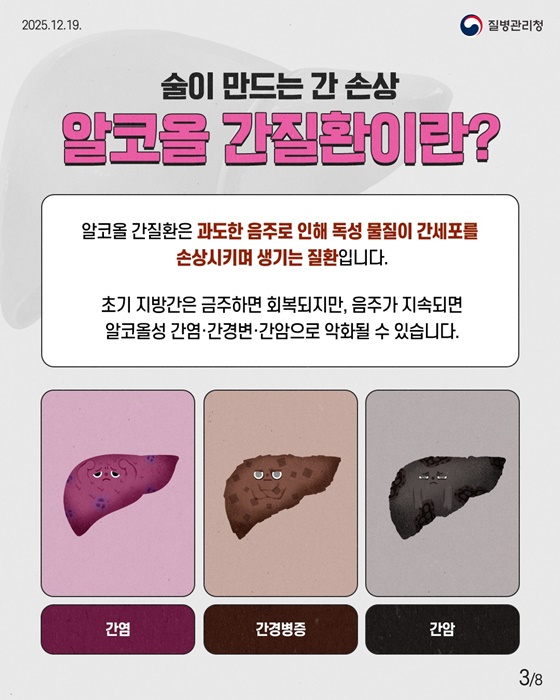 올해도 수고한 간을 위한 간 건강 가이드