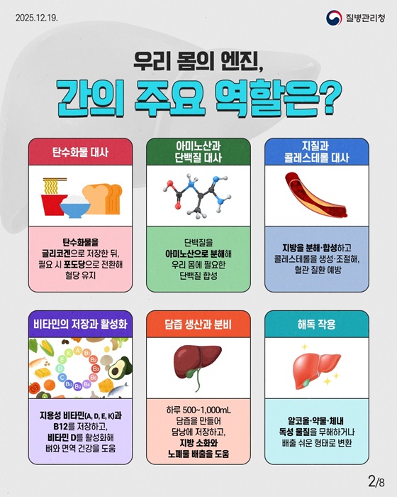 올해도 수고한 간을 위한 간 건강 가이드