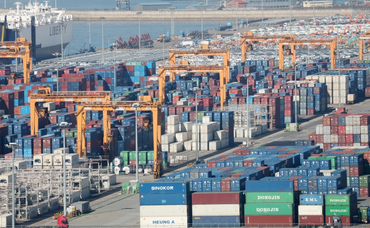 경기 평택시 포승읍 평택항에 수출용 컨테이너들이 쌓여있는 모습. 2025.11.14 (ⓒ뉴스1, 무단 전재-재배포 금지)