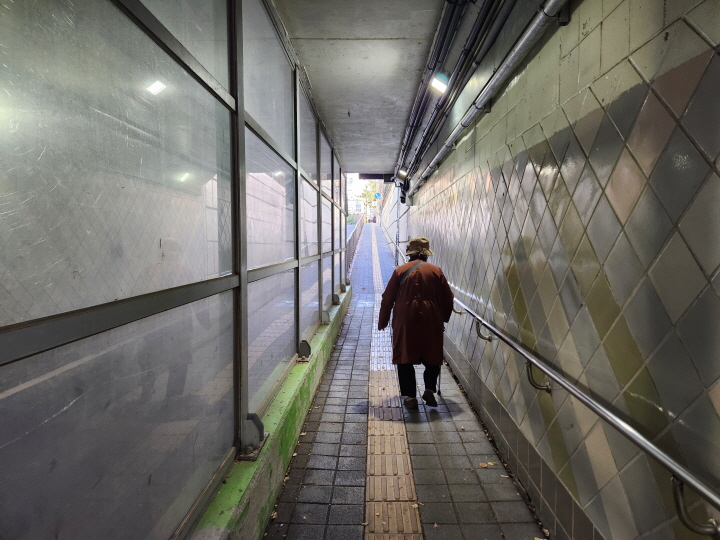 이촌한강공원으로 가는 길에 어르신, 유아차를 동반한 가족을 여럿 만날 수 있었다.