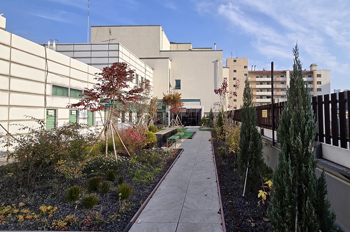 깔끔한 길이 만들어져 걷기에도 편리하다.