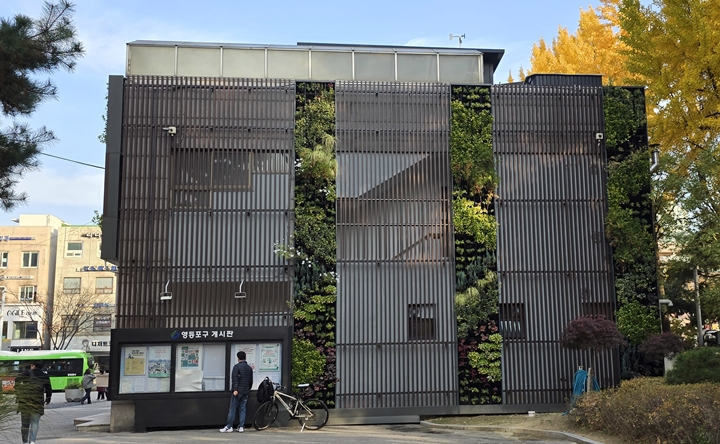 통합일자리지원센터에 조성된 녹화. 건물 옆면에 식재된 식물과 정면 식물도 다른 분위기를 풍긴다.