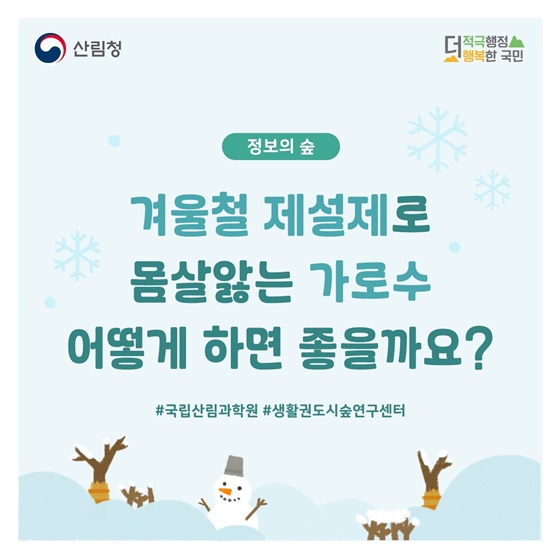 겨울철 제설제로 몸살 앓는 가로수, 어떻게 하면 좋을까요?