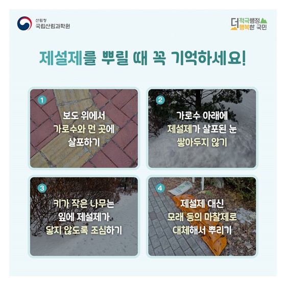 겨울철 제설제로 몸살 앓는 가로수, 어떻게 하면 좋을까요?