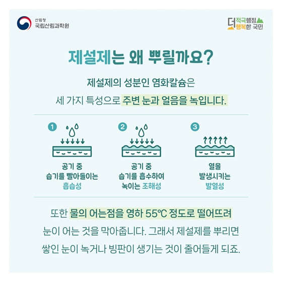 겨울철 제설제로 몸살 앓는 가로수, 어떻게 하면 좋을까요?