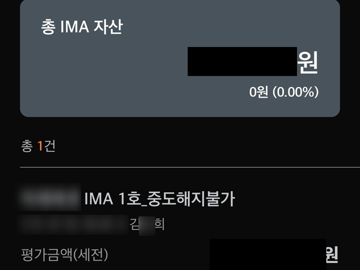 IMA, 고민 끝에 가입한 이유.
