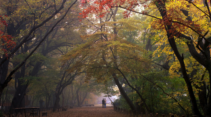 잎을 떨군 나무 사이로 겨울의 기운이 스며든 함양 상림공원 산책길. 천년 숲은 계절이 바뀌어도 차분함을 유지한다. (사진=함양군청 제공)