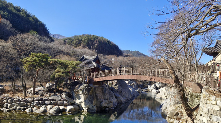 계곡 위 바위에 앉은 거연정. 흐르는 물과 정자가 어우러지며 조선 후기 선비의 풍류와 사색의 시간을 전한다.