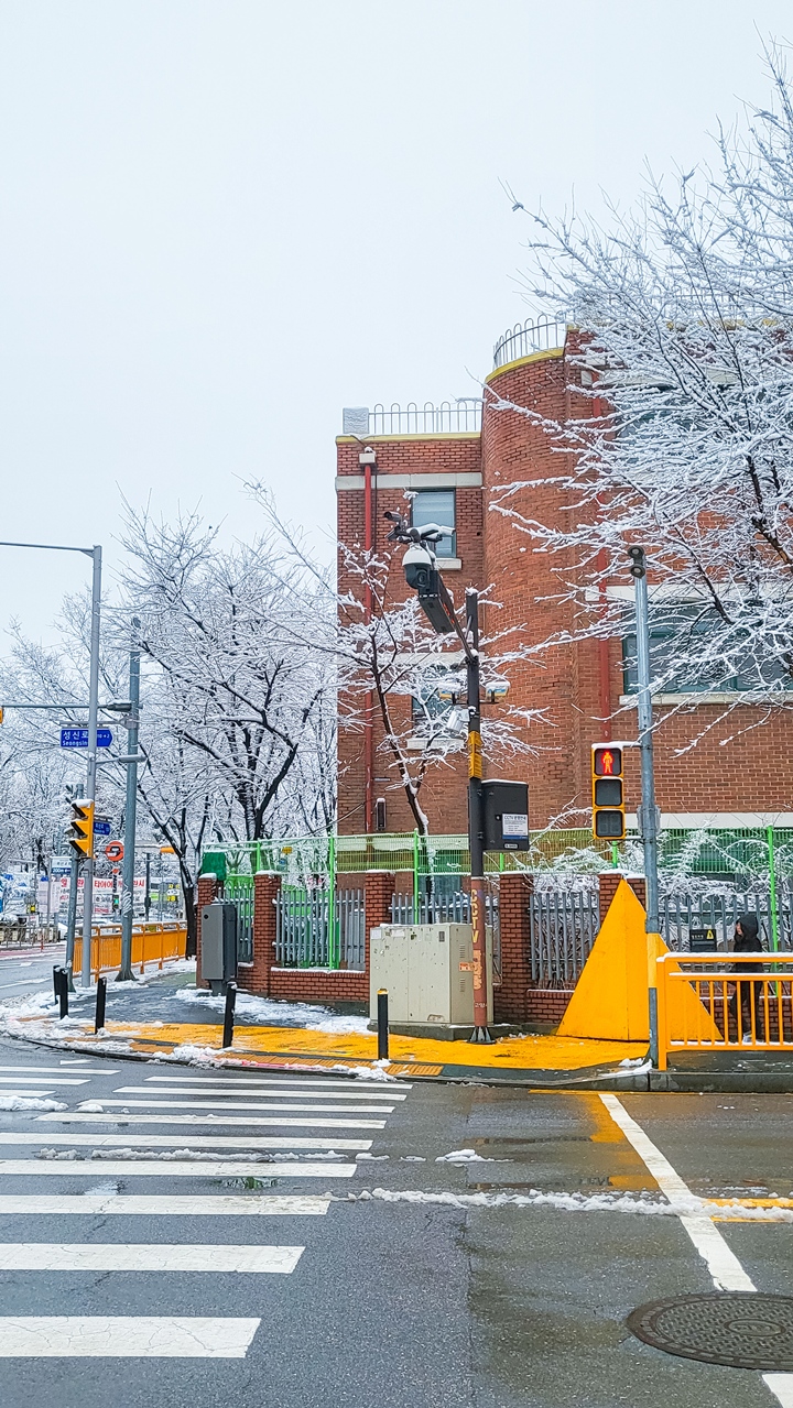 며칠 전, 우리 동네에 눈이 무척 많이 내려 모든 도로가 꽁꽁 얼었다.