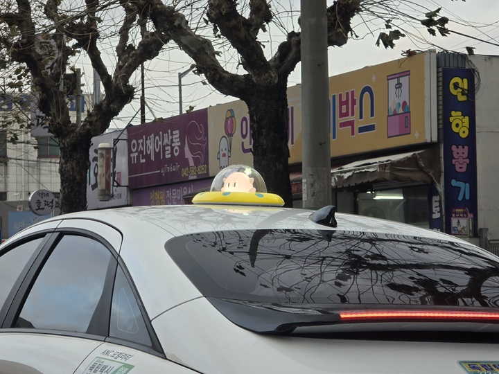 대전에는 2천여 대의 꿈씨 패밀리 택시가 운행중인데, 야간에는 예쁜 조명도 들어온다.