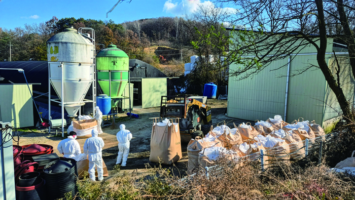 2025년 11월 18일 방역당국이 고병원성 조류인플루엔자 바이러스로 의심되는 H5형 항원이 검출된 충북 영동군 종오리 농장에서 종오리를 살처분하고 있다.