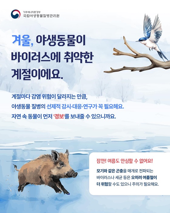 겨울엔 바이러스가 더 오래 살아남는다고요?