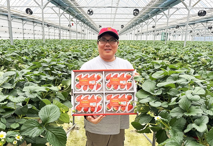 21살 청년농의 무수한 실패…세상에 없던 딸기맛 탄생의 거름이었다