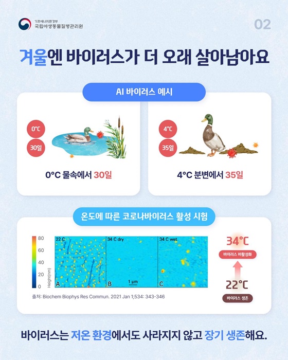 겨울엔 바이러스가 더 오래 살아남는다고요?