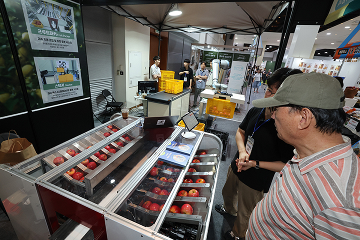 11일 오전 서귀포시 중문동 제주국제컨벤션센터에 열린 제7회 농촌융복합산업제주국제박람회 '푸파페 제주'에서 주식회사 토트(THOTH) 관계자들이 자사의 로봇 AI 기반 과일 포장 자동화 솔루션을 선보이고 있다. 2025.7.11 (사진=저작권자(c) 연합뉴스, 무단 전재-재배포 금지)