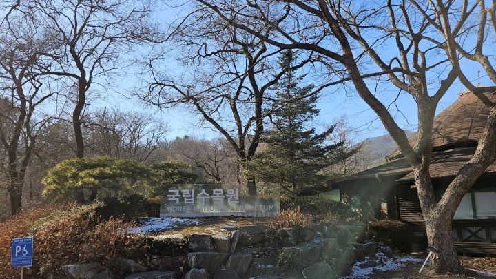 목질이 단단한 참나무과의 상수리 나무