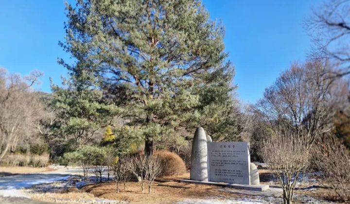 김대중 대통령의 기념식수와 산림헌장 비