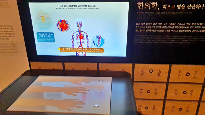실제 맥 짚기 체험. 관람객이 '한의사 역할'을 해보는 게 의외로 재밌었다.