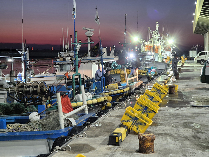 강원 동해안 대표 어항(漁港)인 강릉시 주문진읍 주문진항에 조업을 마치고 온 어선들이 정박해 있다. 2025.2.21.(ⓒ뉴스1, 무단 전재-재배포 금지)